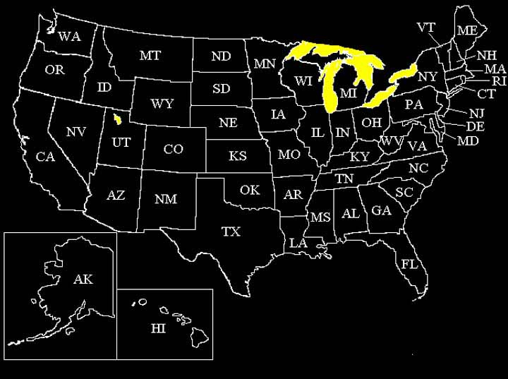 State Selector